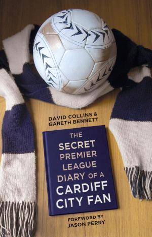 Cover of the book Secret Premier League Diary of a Cardiff City Fan by Luis Felipe Silva