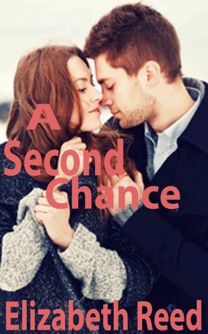bigCover of the book A Second Chance by 