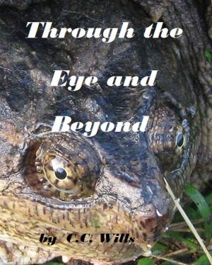 Book cover of Through the Eye and Beyond