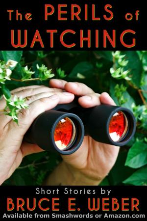 bigCover of the book The Perils of Watching by 