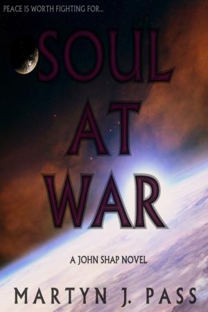 Cover of the book Soul at War by Michelle Morgan Spady