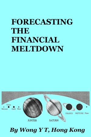 Book cover of Forecasting the Financial Meltdown