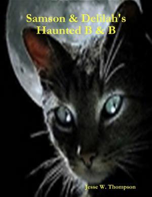 Cover of the book Samson & Delilah's Haunted B & B by Felicia Allen