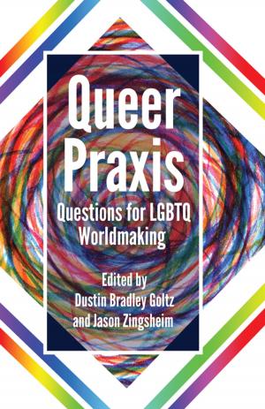Cover of the book Queer Praxis by Yvetta Kajanová