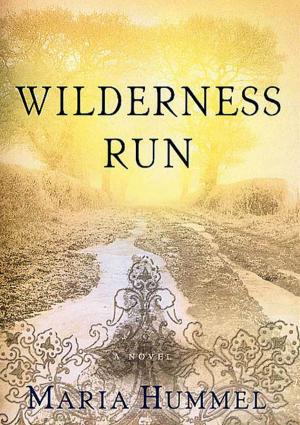 Book cover of Wilderness Run