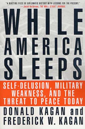 Book cover of While America Sleeps