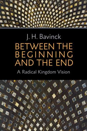 Cover of the book Between the Beginning and the End by James McKeown