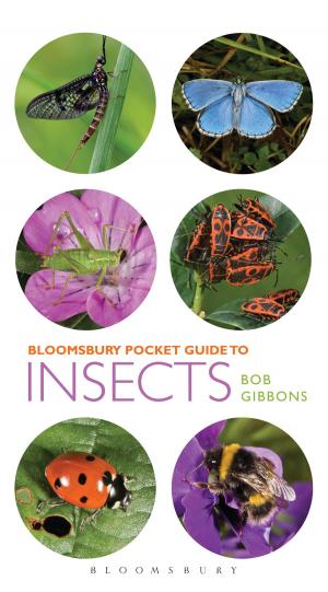 Cover of the book Pocket Guide to Insects by Professor Jan H Dalhuisen