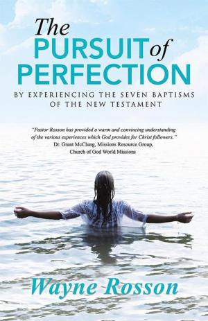 Cover of the book The Pursuit of Perfection by Lilan Baltz Starford