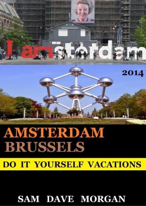 Cover of Amsterdam and Brussels: Do It Yourself Vacations