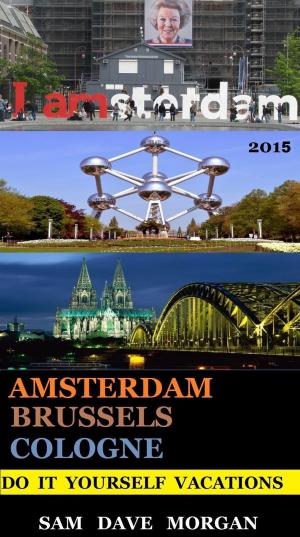Cover of the book Amsterdam , Brussels & Cologne: Do It Yourself Vacations by Anne Vipond