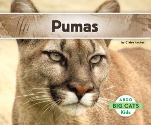 Cover of the book Pumas by Kirsten McDonald