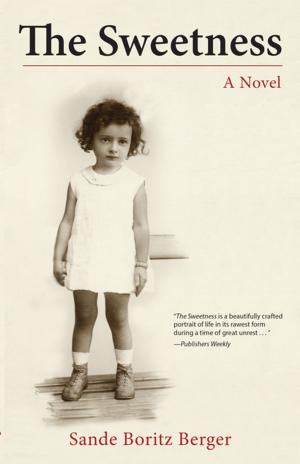 Cover of the book The Sweetness by Jonathan Freedman