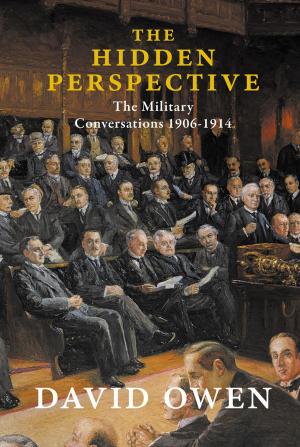 Cover of the book The Hidden Perspective by Richard Tillinghast