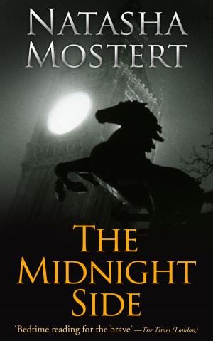 Cover of the book The Midnight Side by CJ Sellers