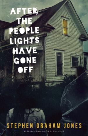 Book cover of After the People Lights Have Gone Off