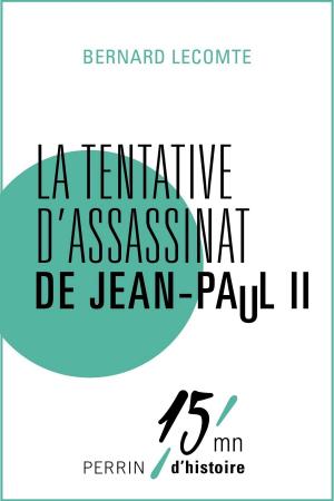 Cover of the book La tentative d'assassinat de Jean-Paul II by Michel DELPECH