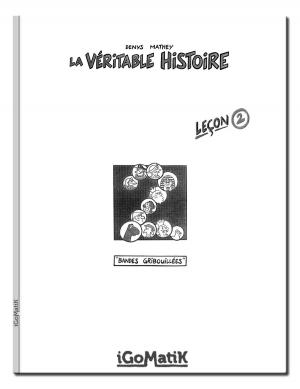 Cover of the book La Véritable Histoire — Leçon 2 by Sylvain Saulne