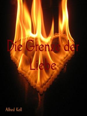 Cover of the book Die Grenze der Liebe by Günter Luible
