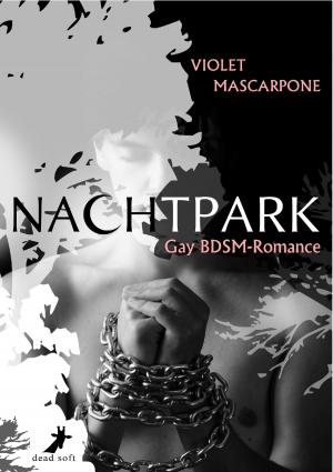 Book cover of Nachtpark