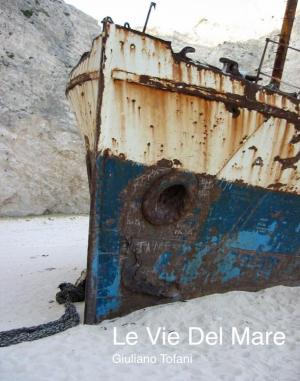 Cover of the book Le Vie del Mare by seth agbuku