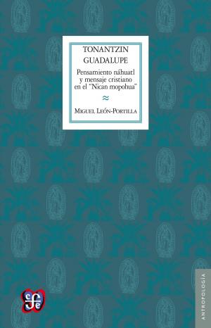 Cover of the book Tonantzin Guadalupe by Norbert Elias, Guillermo Hirata, Vera Weiler