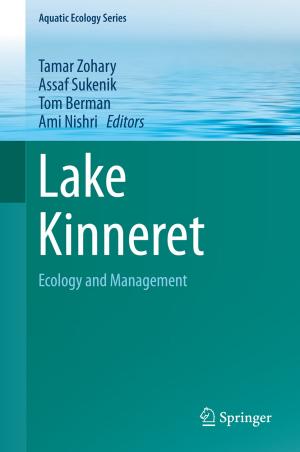 Cover of the book Lake Kinneret by Helmut Meuser