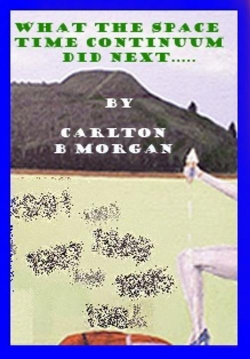 Cover of the book What the Space-Time Continuum Did Next by Carlton B Morgan, HillofDreams