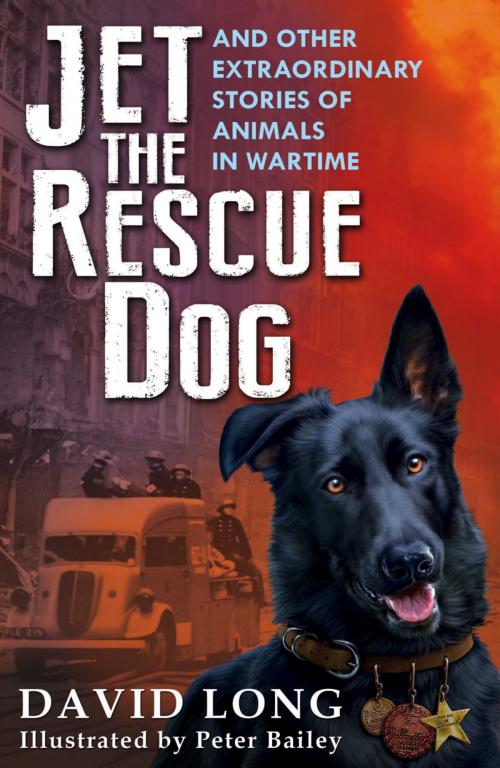 Cover of the book Jet the Rescue Dog by David Long, Faber & Faber