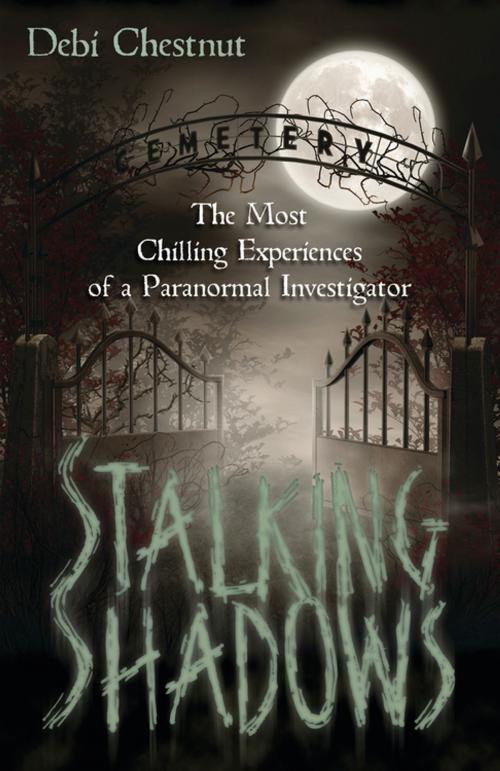 Cover of the book Stalking Shadows by Debi Chestnut, Llewellyn Worldwide, LTD.