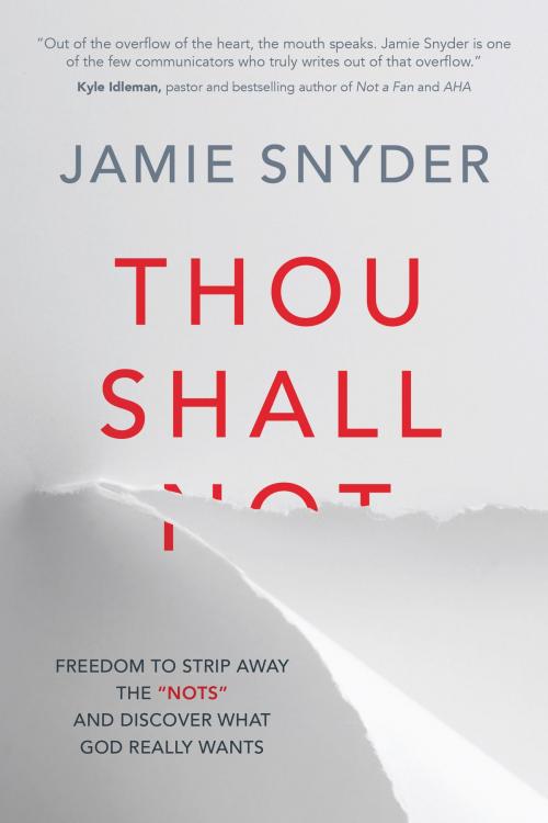 Cover of the book Thou Shall by Jamie Snyder, David C. Cook