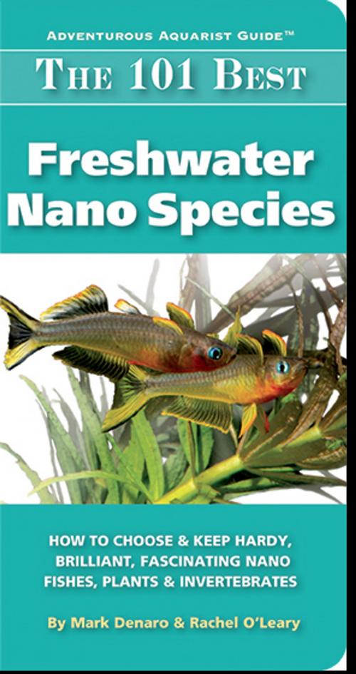 Cover of the book The 101 Best Freshwater Nano Species by Denaro, Mark, O'Leary, Rachel, TFH Publications, Inc.