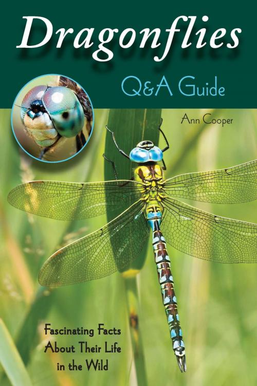 Cover of the book Dragonflies: Q&A Guide by Ann Cooper, Stackpole Books