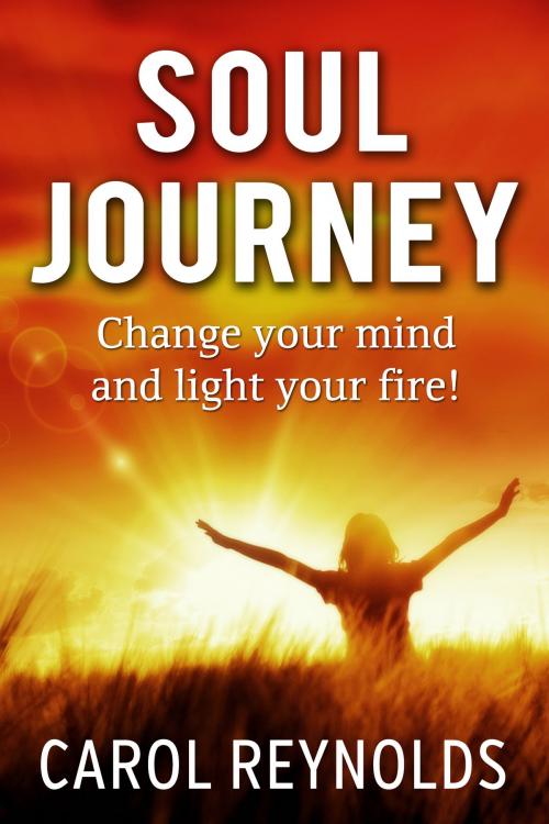 Cover of the book Soul Journey Change your mind and light your fire by Carol Reynolds, Carol Reynolds