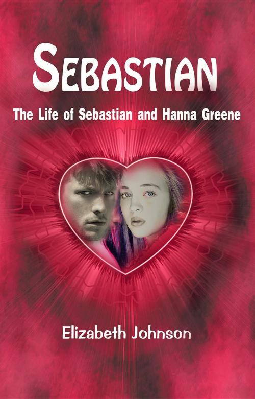 Cover of the book Sebastian by Elizabeth Johnson, ALDAGE BOOKS PUBLISHING