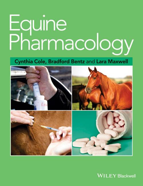 Cover of the book Equine Pharmacology by , Wiley