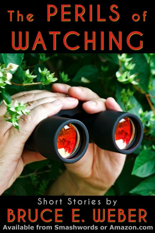 Cover of the book The Perils of Watching by Bruce E. Weber, Bruce E. Weber