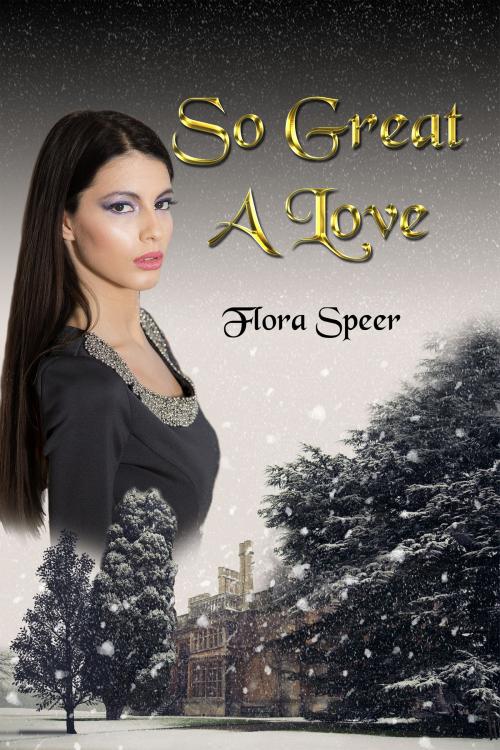 Cover of the book So Great A Love by Flora Speer, Flora Speer