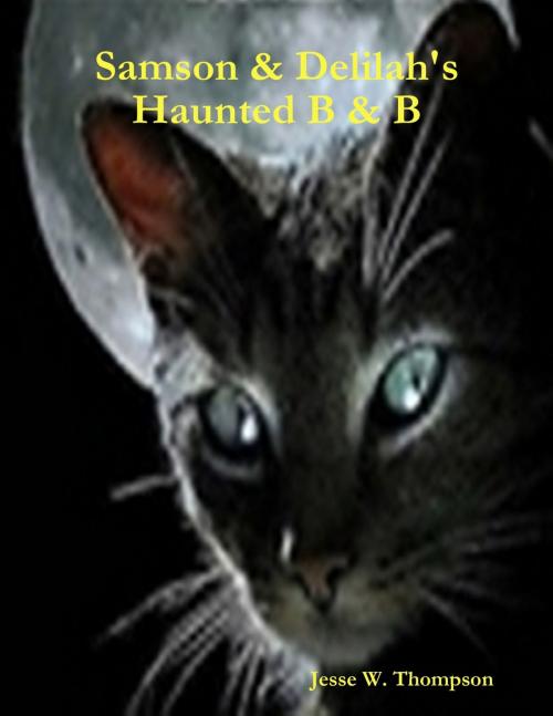 Cover of the book Samson & Delilah's Haunted B & B by Jesse W. Thompson, Lulu.com