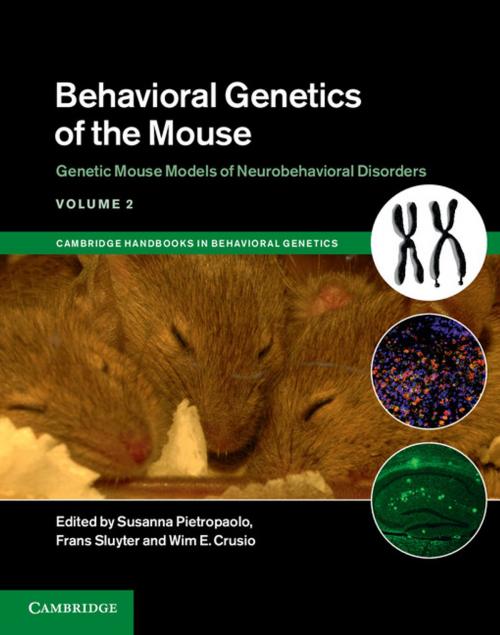 Cover of the book Behavioral Genetics of the Mouse: Volume 2, Genetic Mouse Models of Neurobehavioral Disorders by , Cambridge University Press