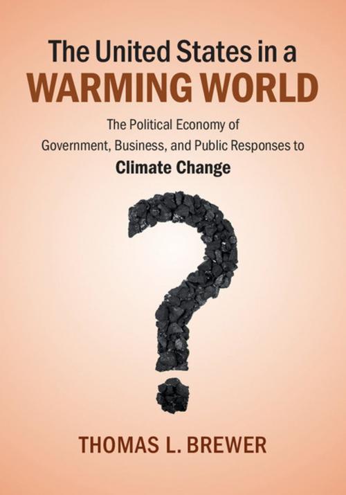 Cover of the book The United States in a Warming World by Thomas L. Brewer, Cambridge University Press