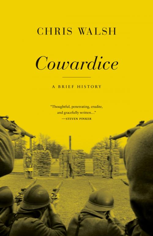 Cover of the book Cowardice by Chris Walsh, Princeton University Press