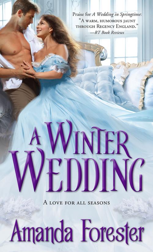 Cover of the book A Winter Wedding by Amanda Forester, Sourcebooks