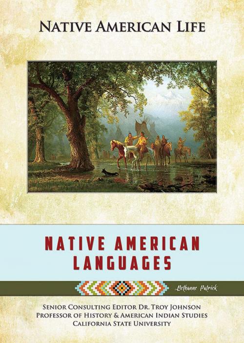 Cover of the book Native American Languages by Bethanne Patrick, Mason Crest