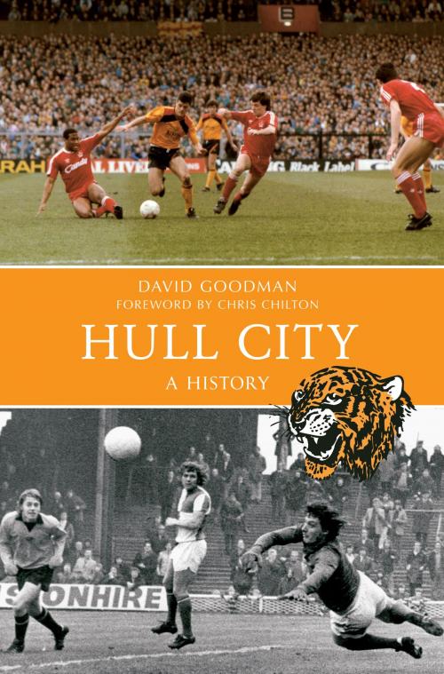 Cover of the book Hull City A History by David Goodman, Amberley Publishing