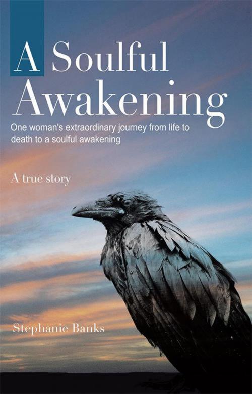 Cover of the book A Soulful Awakening by Stephanie Banks, Balboa Press