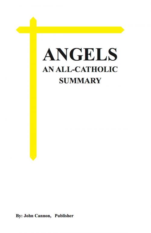 Cover of the book ANGELS, An All-Catholic Summary by John Cannon, BookBaby