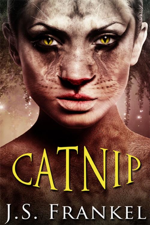 Cover of the book Catnip by J.S. Frankel, eXtasy Books Inc