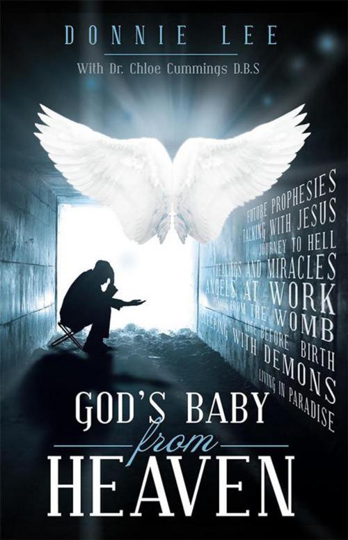 Cover of the book God’S Baby from Heaven by Donnie Lee, WestBow Press