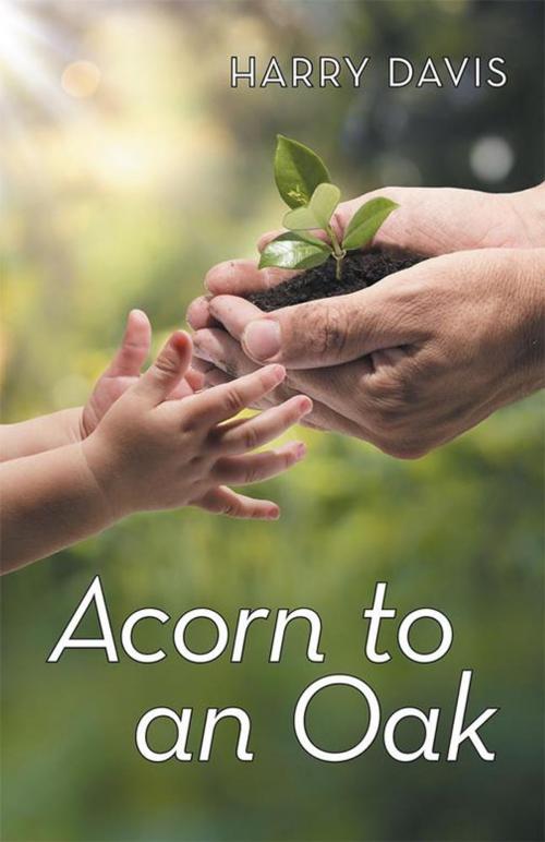 Cover of the book Acorn to an Oak by Harry Davis, WestBow Press